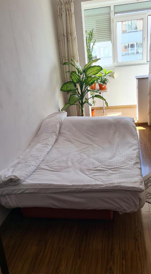 Perfect View Apartament 2 Rooms Self Check-In 布加勒斯特 外观 照片